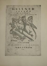 Gara Arnold: Kellner István